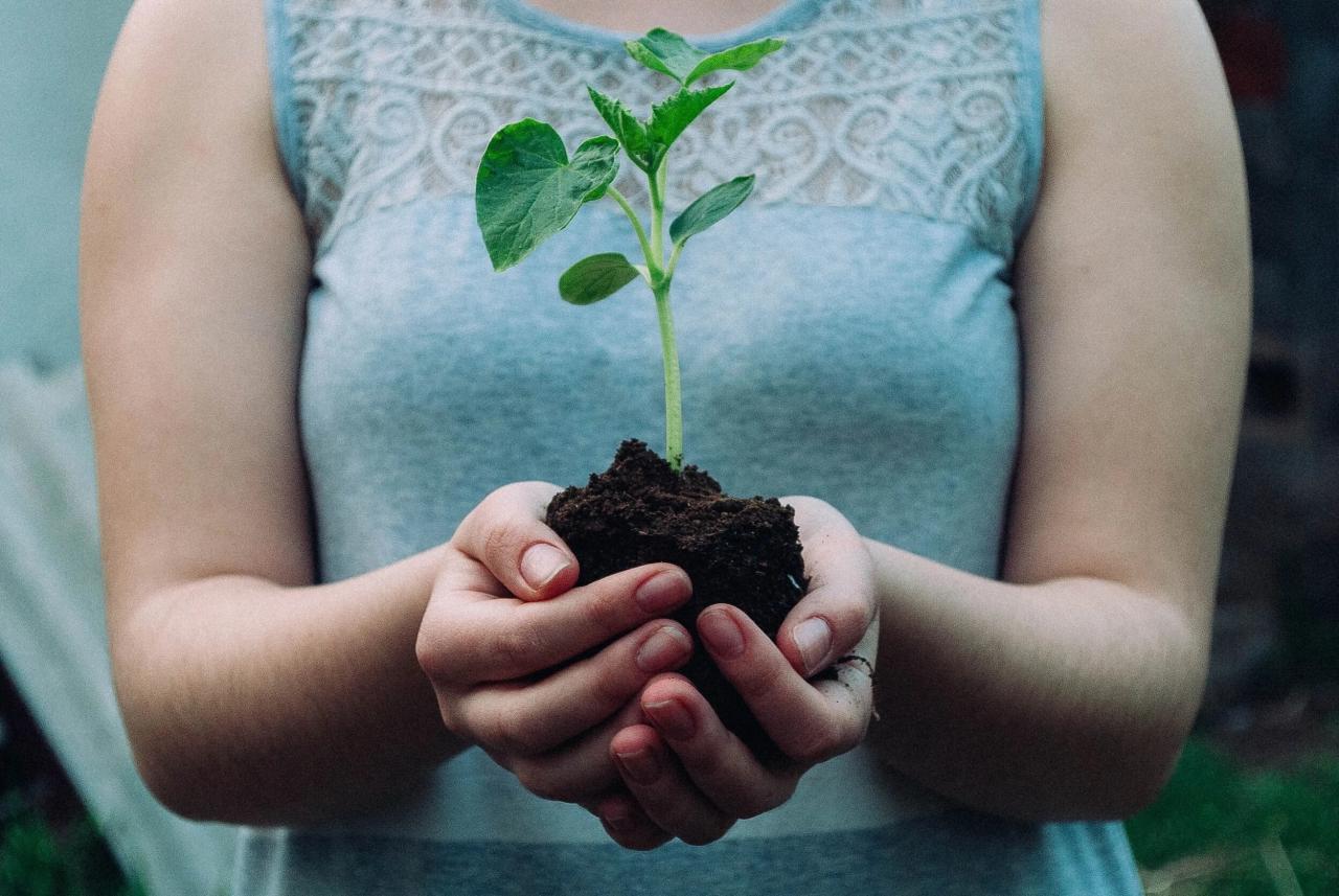 How to Meditate for Spiritual Growth: 5 Essential Practices