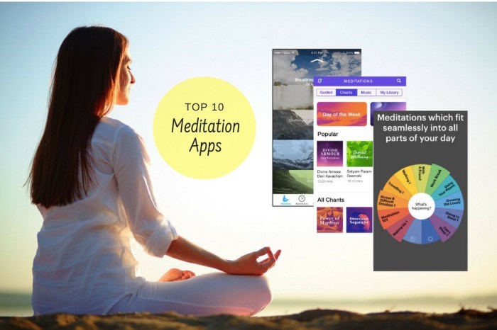 Meditation apps ayurvedum share